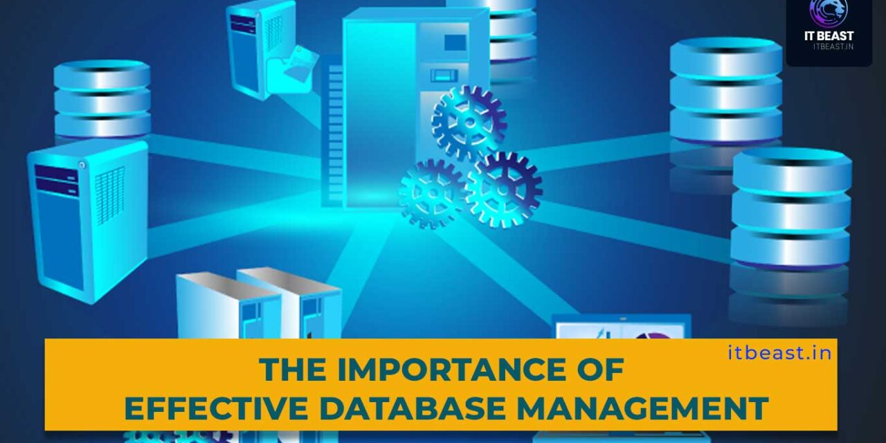 The Importance of Effective Database Management